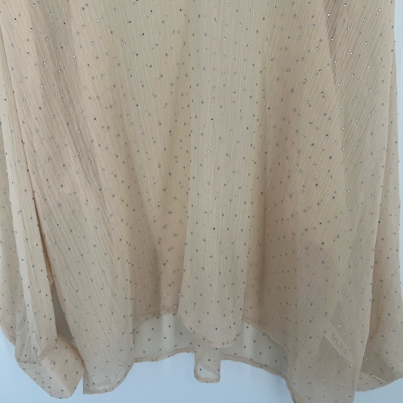Zara Oversized Rhinestone Semi Sheer Blouse - Picture 6 of 9